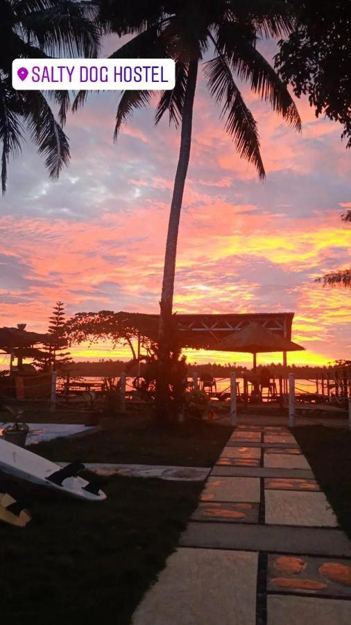 Salty Dog Hostel Telukdalem Exterior foto